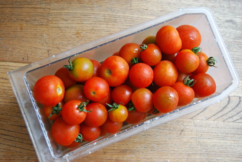 Cherry tomatoes in a fridge tray by Edward Middleton